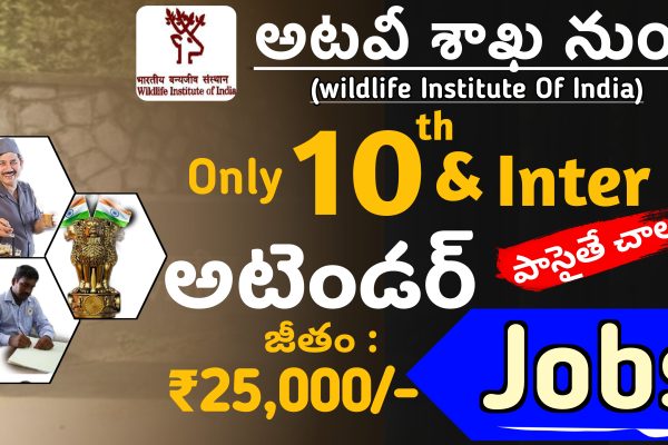 WII Recruitment 2023 15 MTS & Assistant Posts|Jobs Information Telugu