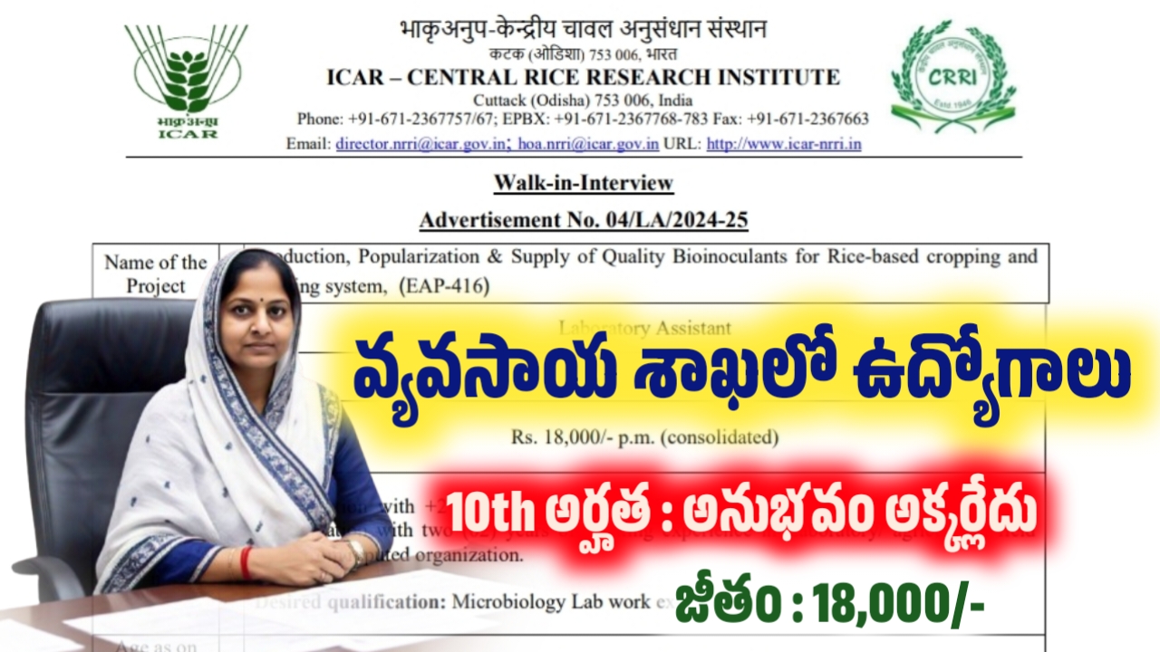 ICAR-CRRI Recruitment 2025 Telugu