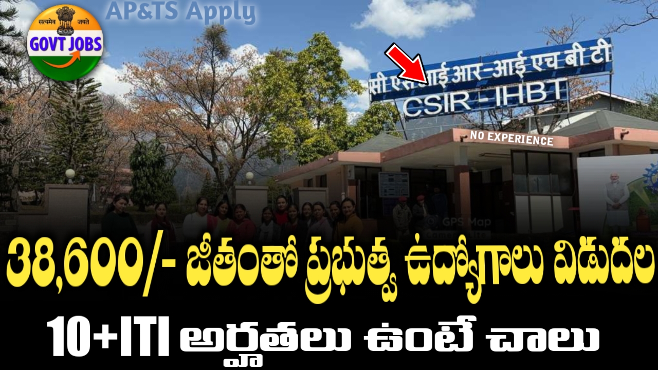 IHBT Recruitment 2025